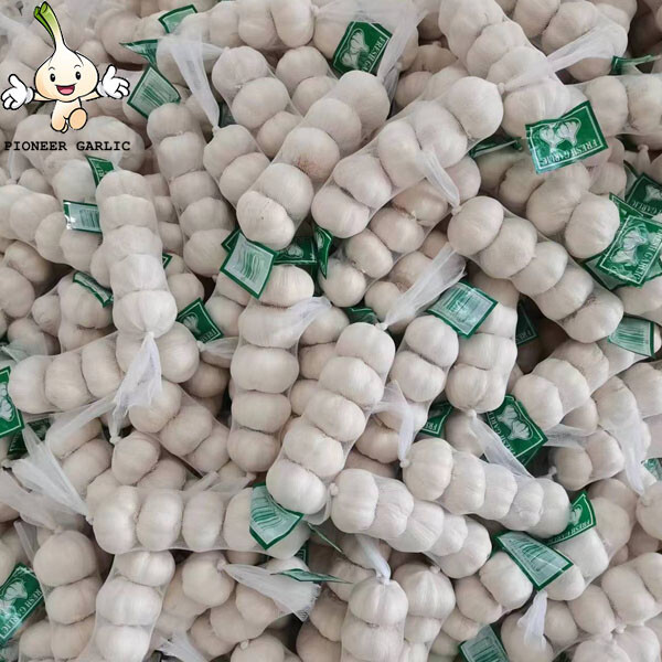 China fresh normal white garlic with good quality Wholesale JinXiang Garlic