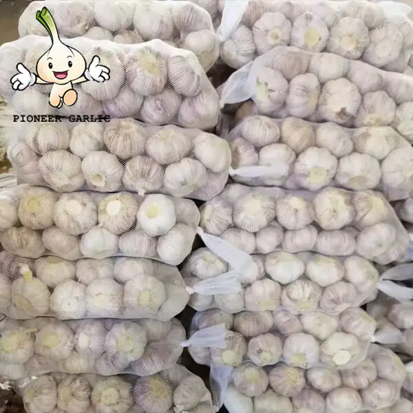 Exportadores chinos de ajo al mejor precio y de alta calidad