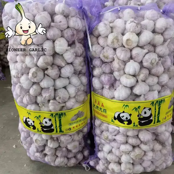 2022 New Crop 5cm Normal White Fresh Garlic 10kg Mesh Bag Packing