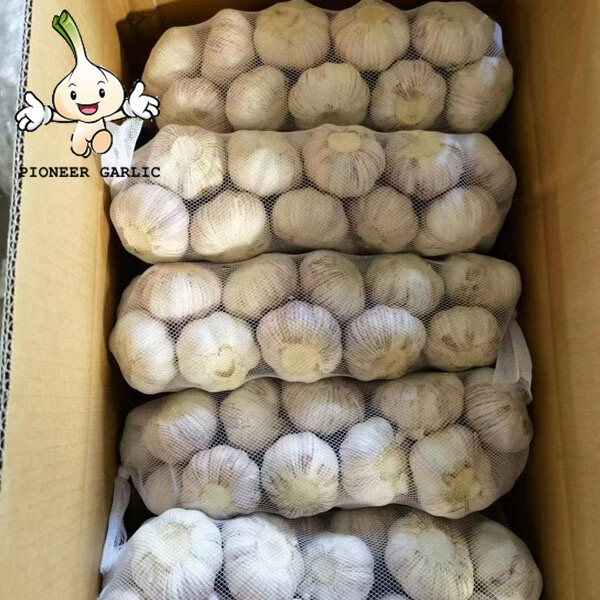 2022 Garlic Type and Fresh Style Chinese Natural Garlic High Quality Fresh Organic