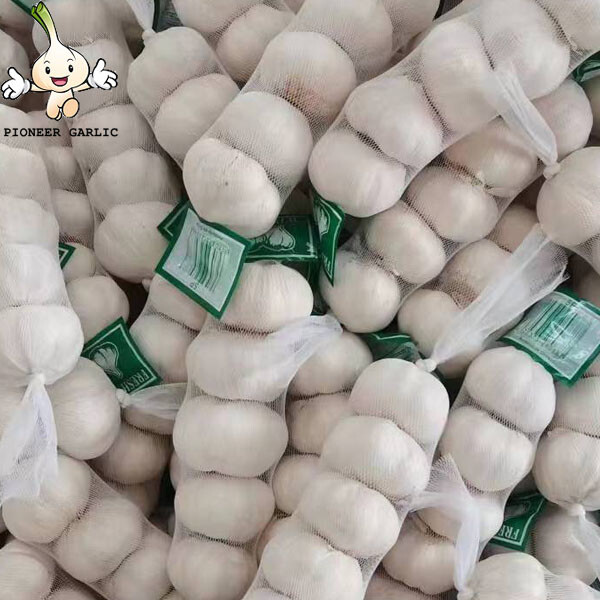 2022 new crop bulk garlic/fresh garlic price Chinese Fresh White Garlic