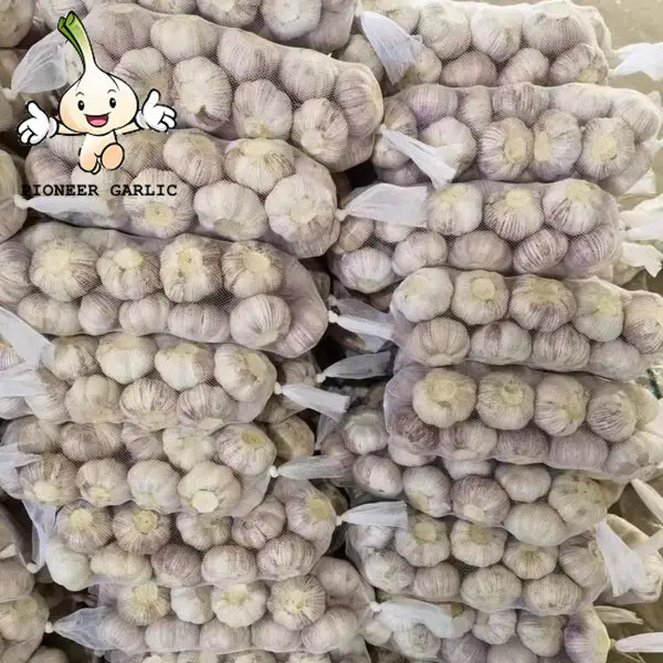 2022 Garlic Type and Fresh Style Chinese Natural Garlic High Quality Fresh Organic