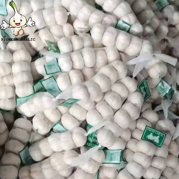 China fresh normal white garlic with good quality Wholesale JinXiang Garlic