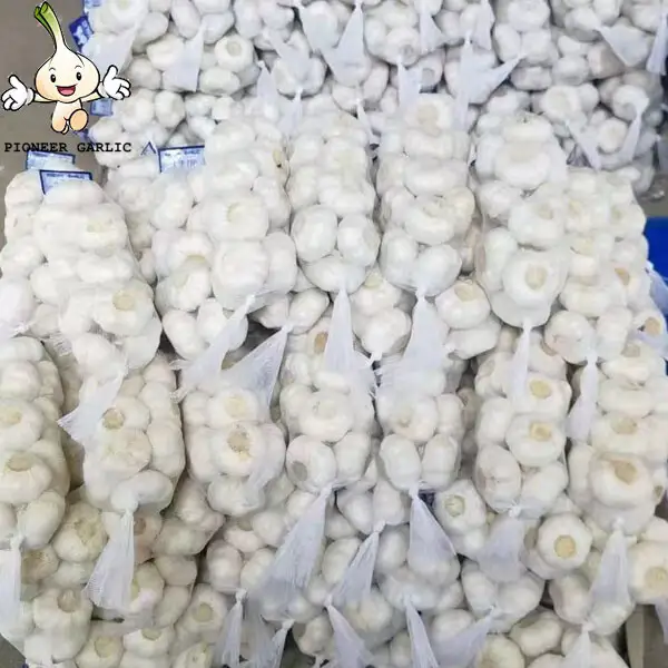 Chinese Garlic Supplier, Fresh to chile garlic manufacturer in china 2022