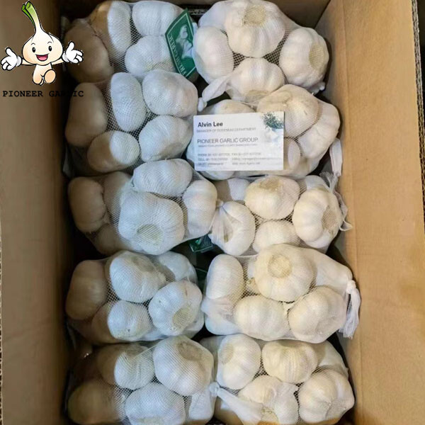 garlic for sale 5pcs in 10kg carton jining garlic Pure White Garlic price in China