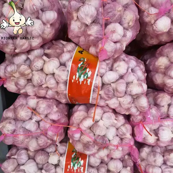 2022 New Crop 4.5cm Normal White Fresh Garlic 10kg Mesh Bag Packing