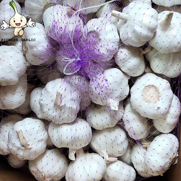 Shandong Garlic, 5.5CM White Garlic For Chile Fresh Normal White Garlic 5.0CM