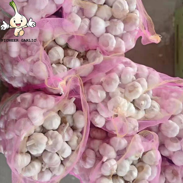 Benefit healthy pure white garlic supplier from China garlic exporter