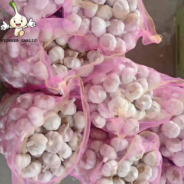 garlic exporters china, shandong garlic exporters in china purple garlic