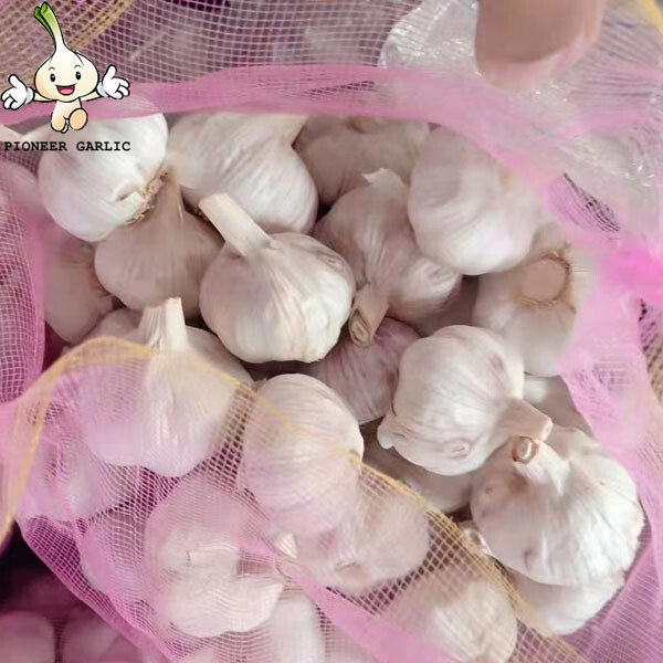 Benefit healthy pure white garlic supplier from China garlic exporter