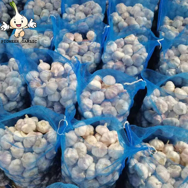 New Fresh White Garlic of 20kg mesh bag Garlic Producer Pure White Fresh Garlic