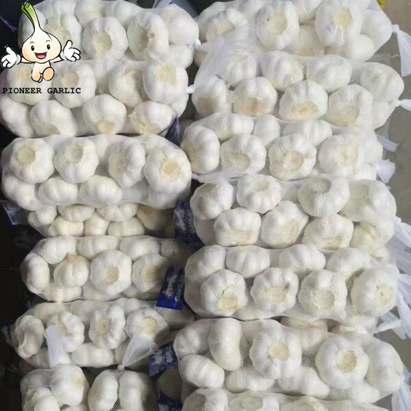 Garlic 5cm jinxiang white garlic The fresh pure white garlic