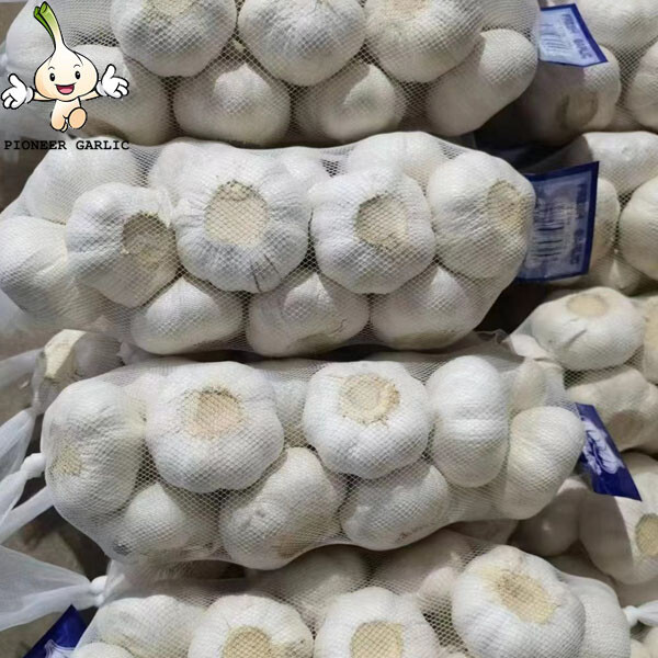 Garlic 5cm jinxiang white garlic The fresh pure white garlic