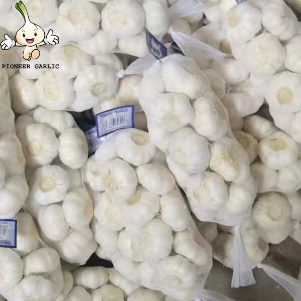 Supplier Pure White Garlic Fresh Normal And Pure White Garlic, White Garlic