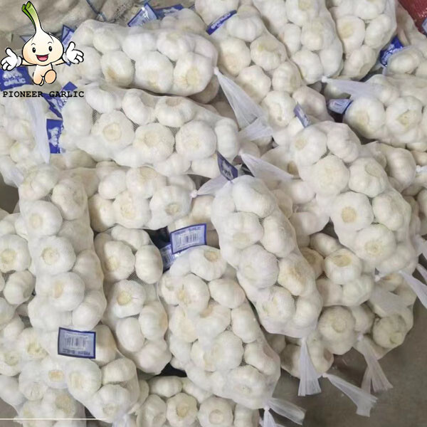 Garlic 5cm jinxiang white garlic The fresh pure white garlic