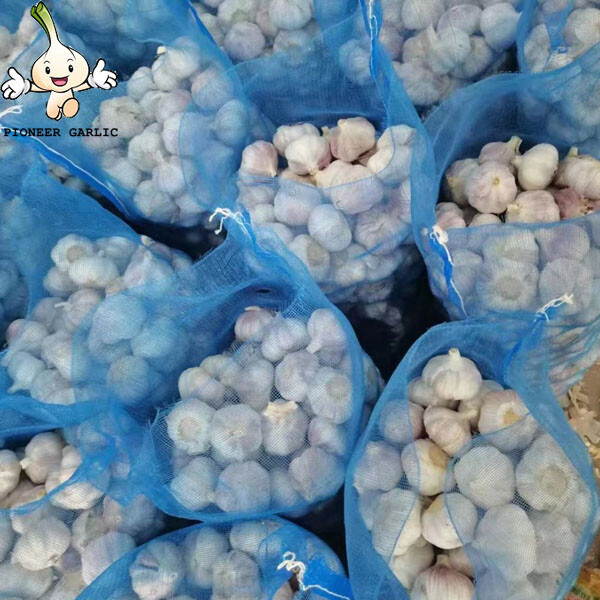 New Fresh White Garlic of 20kg mesh bag Garlic Producer Pure White Fresh Garlic