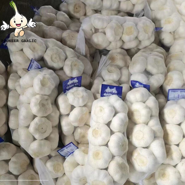 2022 High Quality PURE WHITE GARLIC price fresh normal pure white garlic