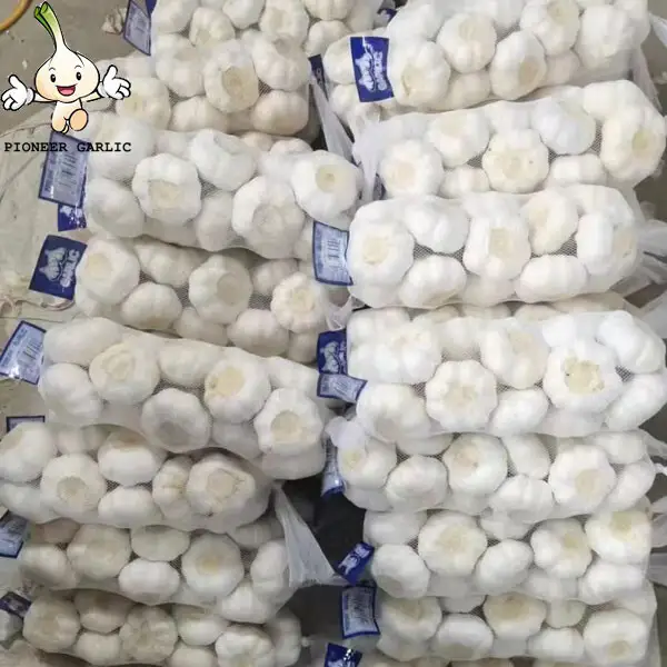 Supplier Pure White Garlic Fresh Normal And Pure White Garlic, White Garlic