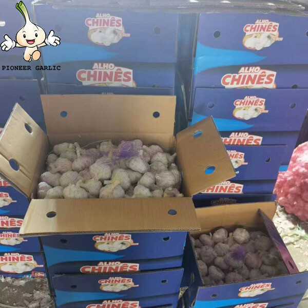 5.5 Fresh China Garlic Price 2022fresh high quality natural garlic for sale