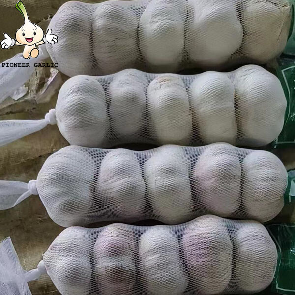 pure white garlic for exporting, fresh normal white garlic 2022 Fresh Garlic