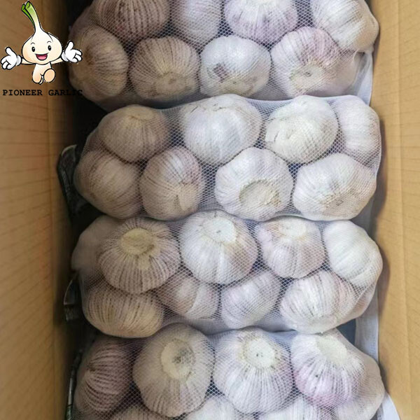 pure white garlic for exporting, fresh normal white garlic 2022 Fresh Garlic