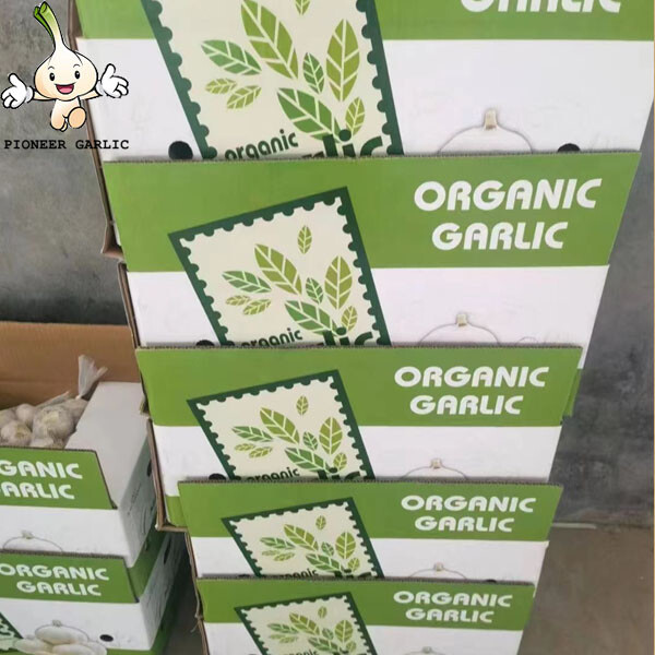 Sell White Garlic/Fresh white garlic/Garlic china Natural garlic price