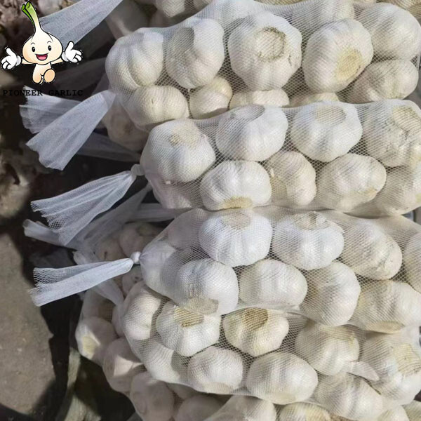 Precio de venta de ajo blanco/ajo blanco fresco/ajo natural de China