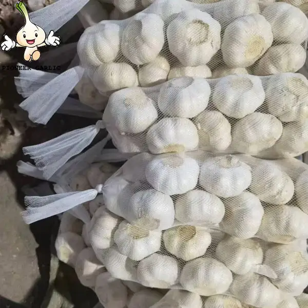 pure white garlic for exporting, fresh normal white garlic 2022 Fresh Garlic