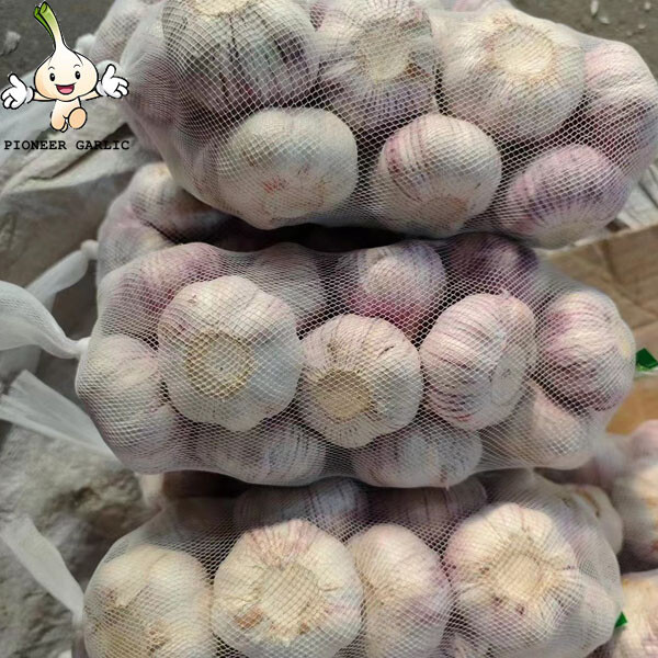 New Shandong corp fresh garlic 2022with best quality China