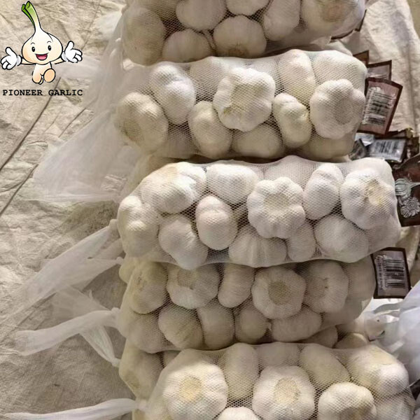 Shandong Normal White Garlic---garlic factory ,Jinxiang Origin ,Top Quallity