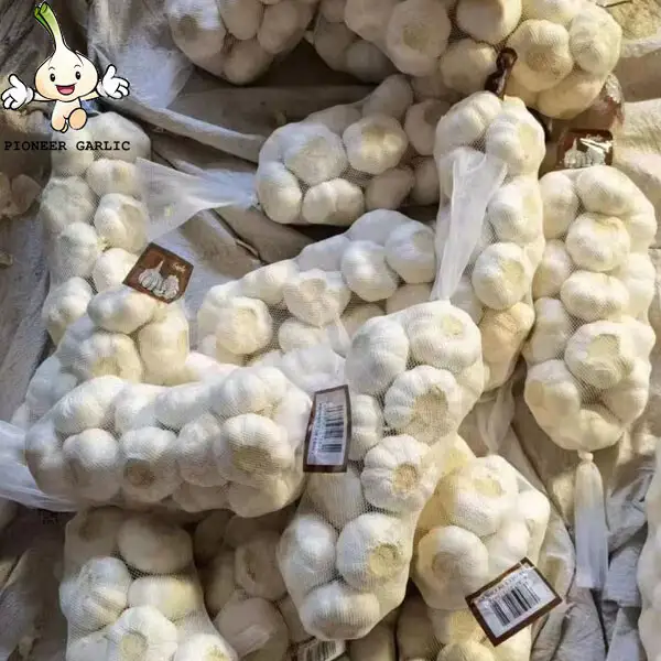 Shandong Normal White Garlic---garlic factory ,Jinxiang Origin ,Top Quallity