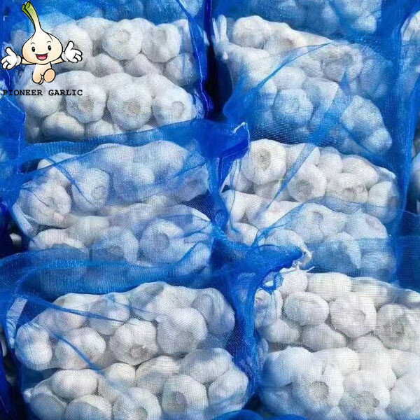 White dry garlic for sale China jinxiang factory fresh garlic price