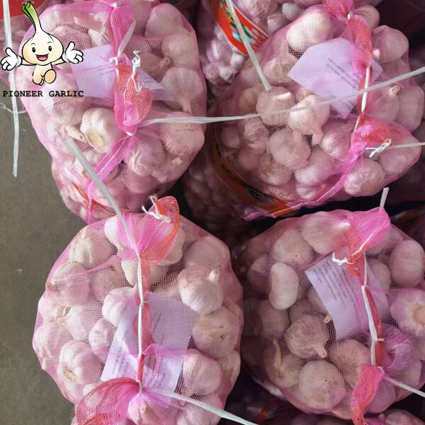 garlic factory and cold storage From China 20kg mesh bag Normal White Garlic
