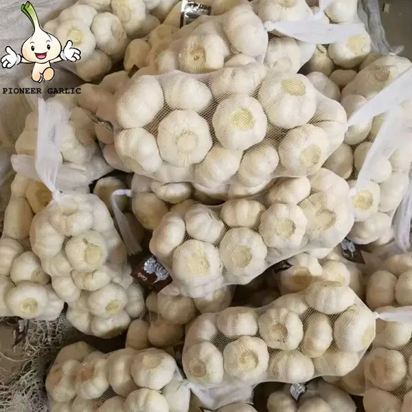 Ajo blanco normal de Shandong --- fábrica de ajo, origen de Jinxiang, calidad superior