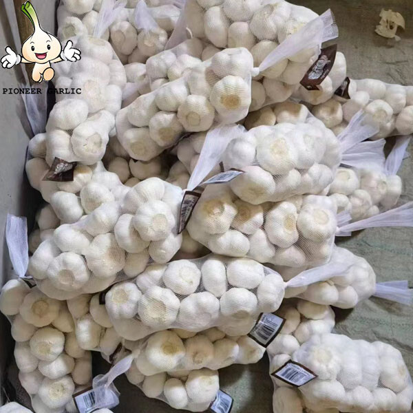 2022 New crops white fresh garlic 4.5cm-6.0cm dry normal white Garlic