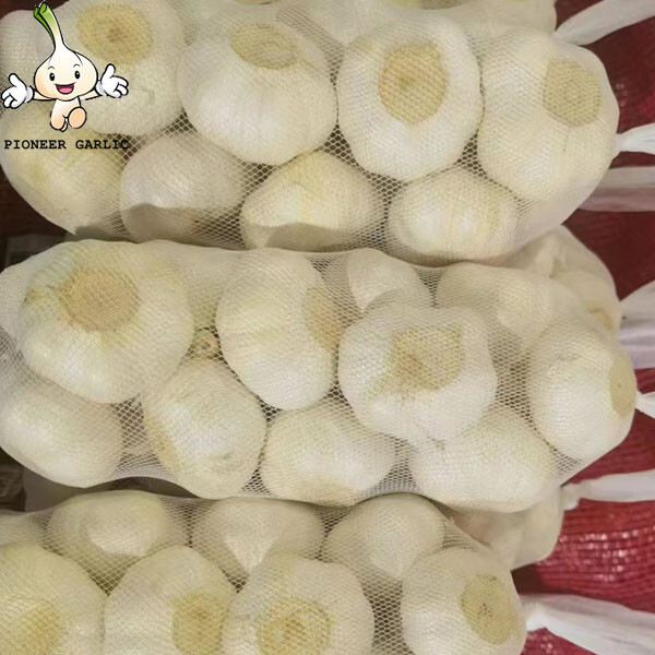 pure white garlic for exporting, fresh normal white garlic 2022 Fresh Garlic