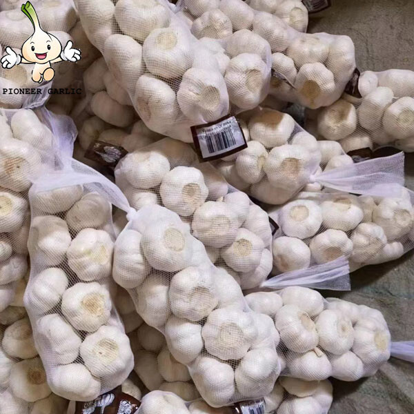 2022 New crops white fresh garlic 4.5cm-6.0cm dry normal white Garlic