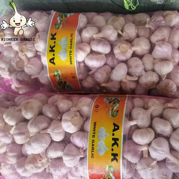 2022 New Crop 5cm Normal White Fresh Garlic 10kg Mesh Bag Packing