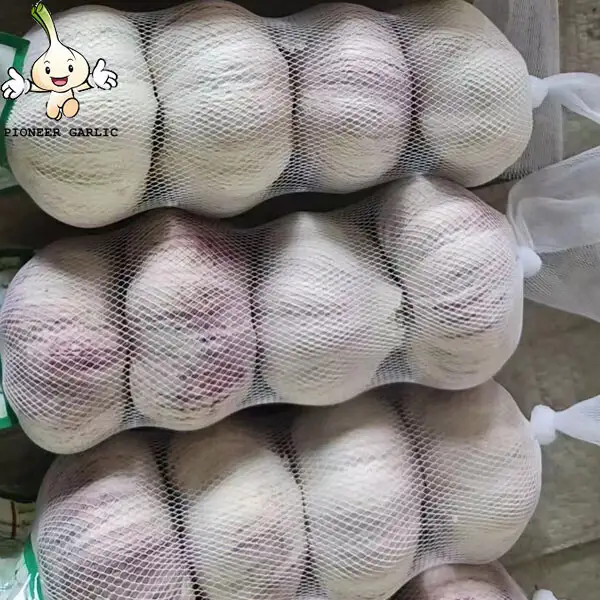 pure white garlic for exporting, fresh normal white garlic 2022 Fresh Garlic