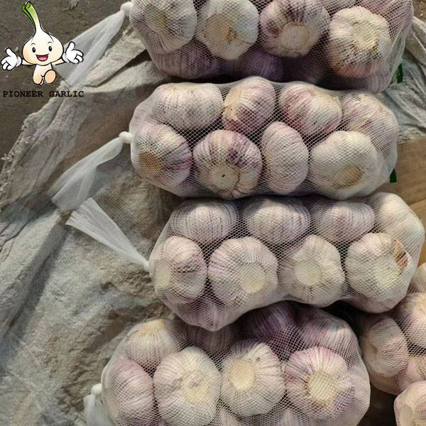 2022 New crops white fresh garlic 4.5cm-6.0cm dry normal white Garlic