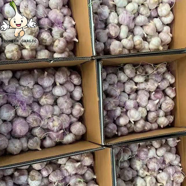 Ajo a granel fresco blanco normal de 5,0-6,0 cm para diferentes tamaños