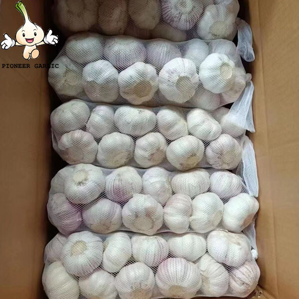 2022 crop china super garlic 4.5-5.0cm pure wihte garlic