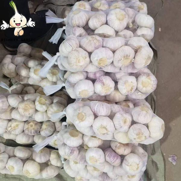 CHINESE GARLIC FRESH CHINESE BEST QUALITY PURE WHITE GARLIC