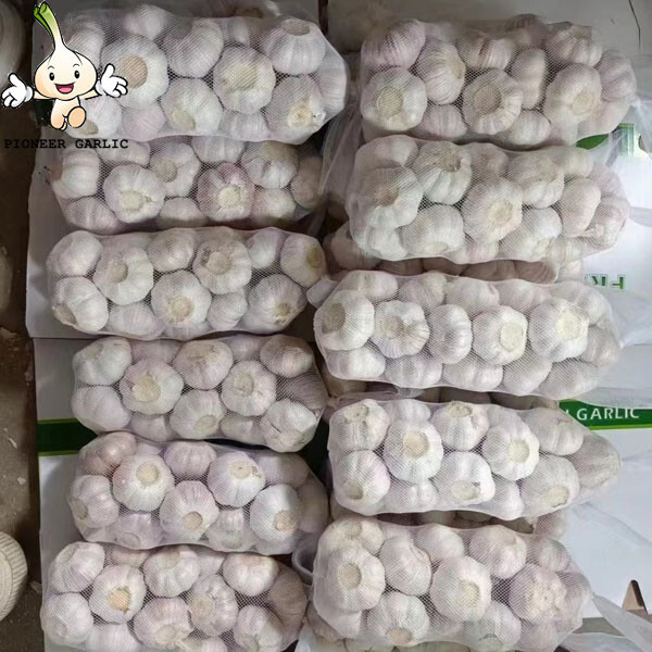 2022 crop china super garlic 4.5-5.0cm pure wihte garlic