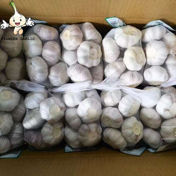 2022 crop china super garlic 4.5-5.0cm pure wihte garlic