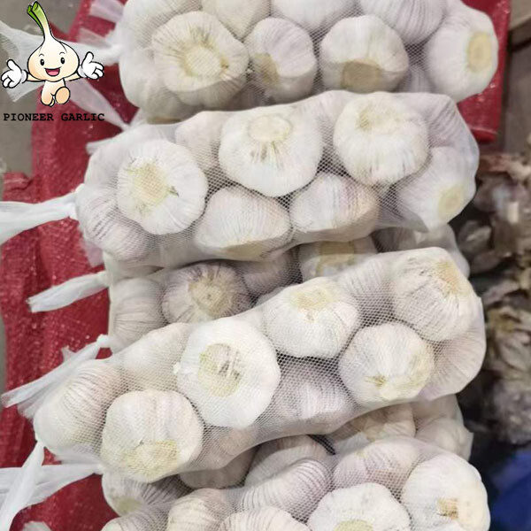 CHINESE GARLIC FRESH CHINESE BEST QUALITY PURE WHITE GARLIC