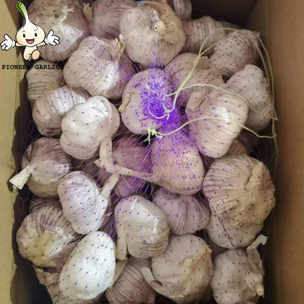 Ajo de 2015 cultivo al por mayor en caja de 10 kg para el mercado de Haití