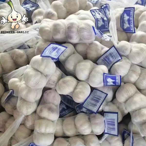 5.5 Fresh China Garlic Price 2022 fresh high quality natural garlic for sale