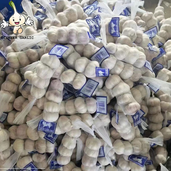 China fresh normal white garlic with good quality Wholesale JinXiang Garlic