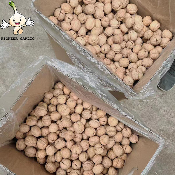 Fábrica de cultivos Nuez con cáscara Xinjiang Papel Nuez Nueces 33